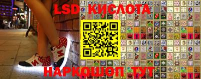 индика Новодвинск