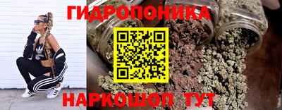 индика Новодвинск
