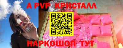 индика Новодвинск