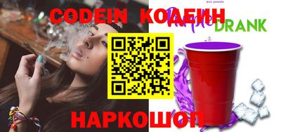 индика Новодвинск