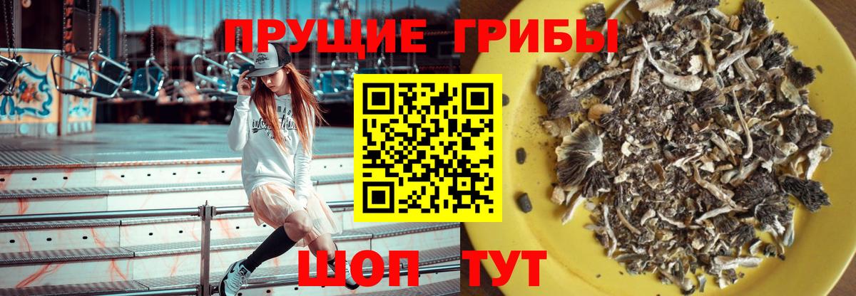 Галлюциногенные грибы прущие грибы  Вход с VPN  Серов 